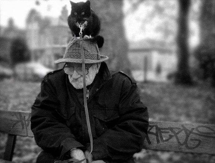 男性+動物の画像を集めよう