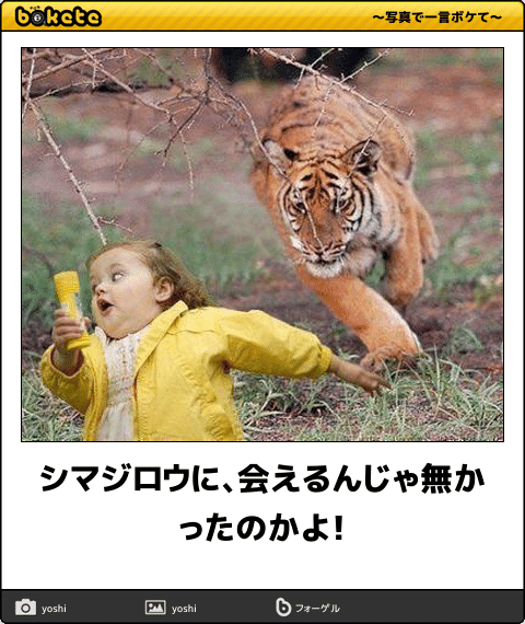 お気に入りのボケてをください