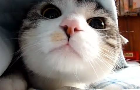どアップの画像貼るトピ。