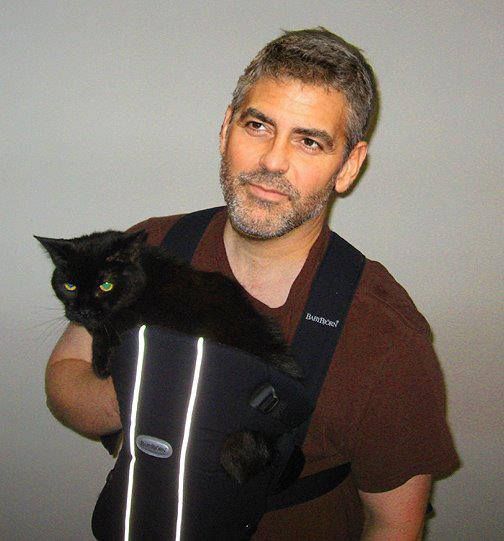 男性+動物の画像を集めよう