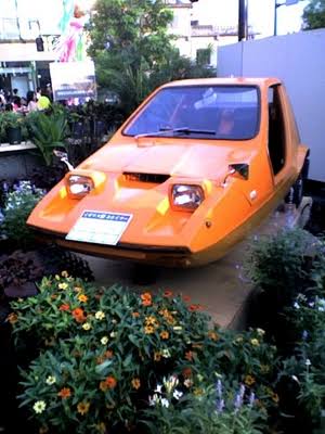 変な構造の車トピ