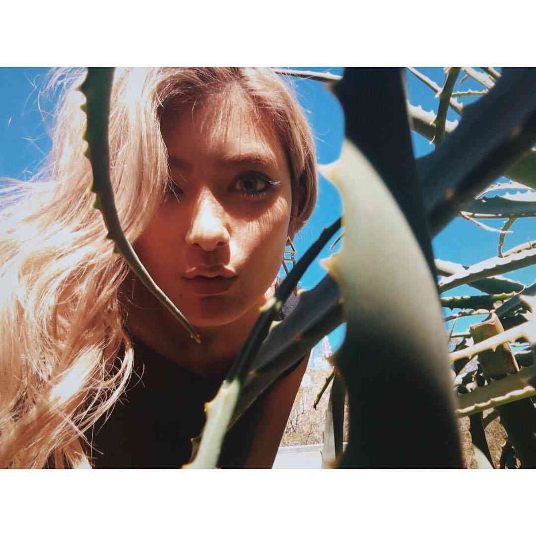 ローラ&くりぃむしちゅー有田哲平「3月30日に電撃結婚」衝撃スクープ!