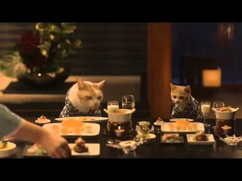 【画像】人間臭い動物鑑賞会