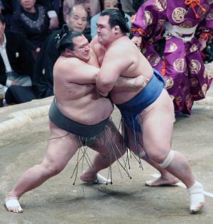 【大相撲・初場所】あなたが選ぶ名勝負！