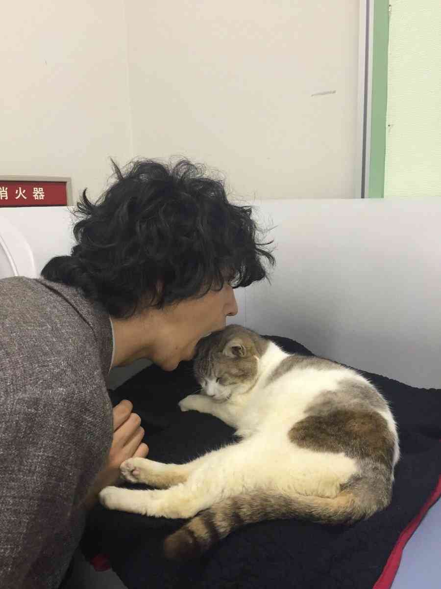 【実況・感想】火村英生の推理#06