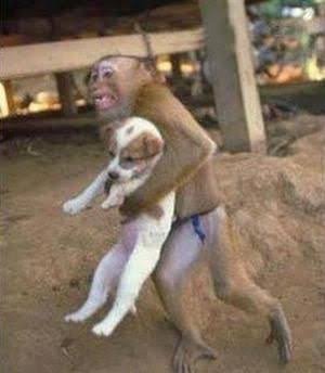 【画像】人間臭い動物鑑賞会