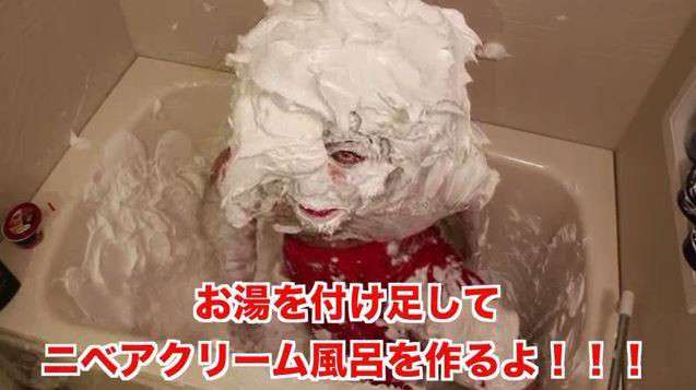 見たら叱りたくなる画像を貼るトピ