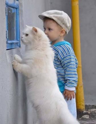 男性+動物の画像を集めよう