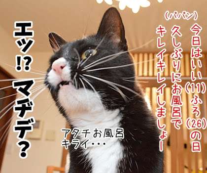 昔取った杵柄