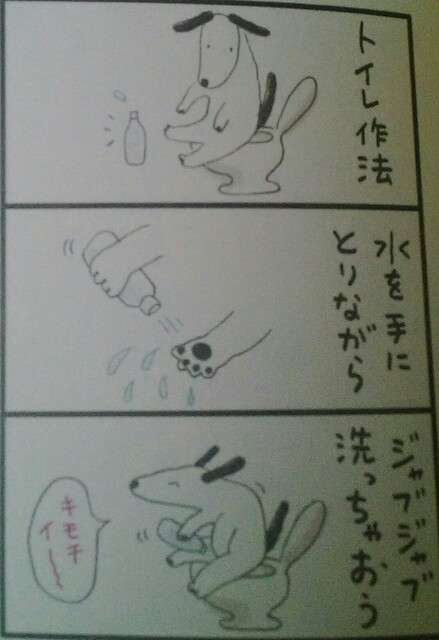 【話題】女だけどトイレットペーパーを使うのを止めました!