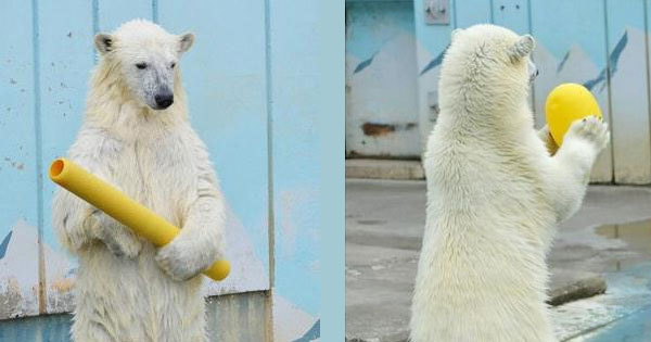 【画像】人間臭い動物鑑賞会