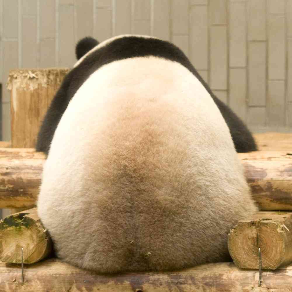 どアップの画像貼るトピ。