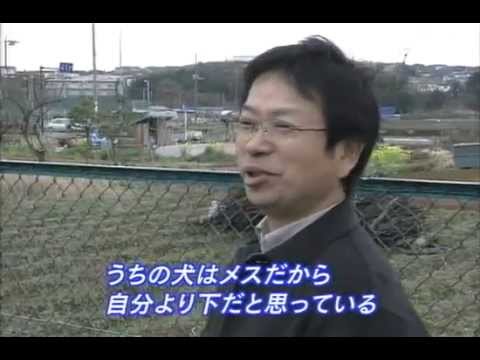 漫画家の顔写真を貼るトピ