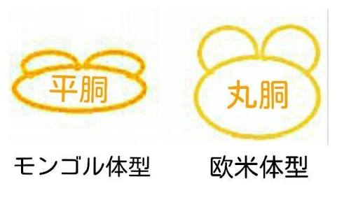 Cカップの方集まれー！