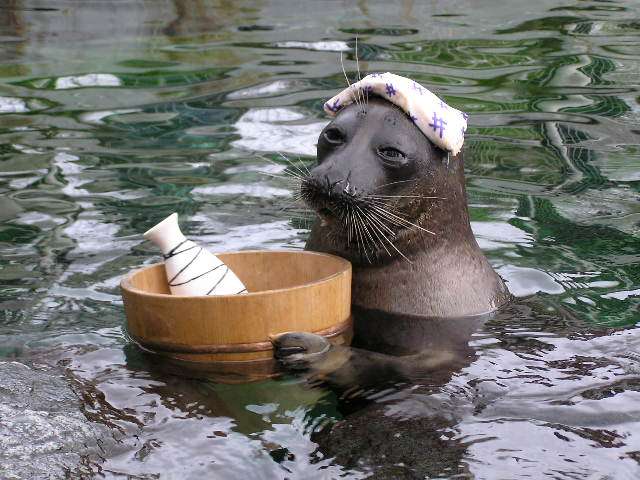 【画像】人間臭い動物鑑賞会