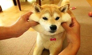 ガルちゃん娯楽室