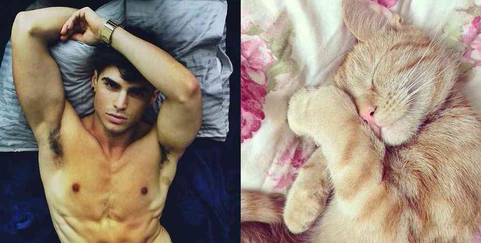 男性+動物の画像を集めよう