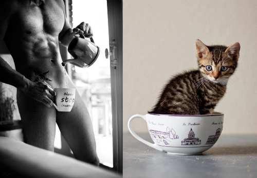 男性+動物の画像を集めよう