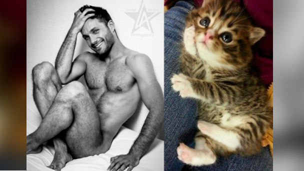 『イケメンと猫』のセクシーポーズ比較画像が話題！あなたはどっちが好き？♡【30選】 | ANIMALive