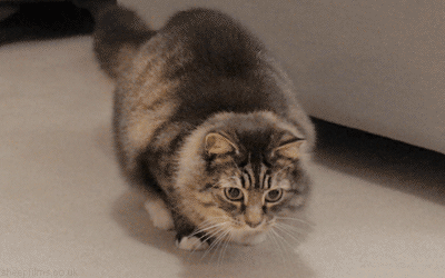 ガルちゃん娯楽室