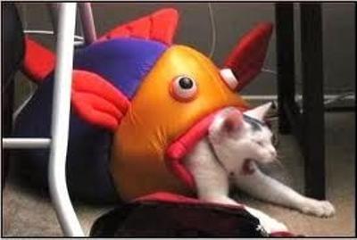 見たら叱りたくなる画像を貼るトピ