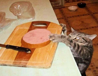 見たら叱りたくなる画像を貼るトピ