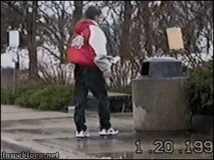 色々なものが飛んでる画像を貼るトピ