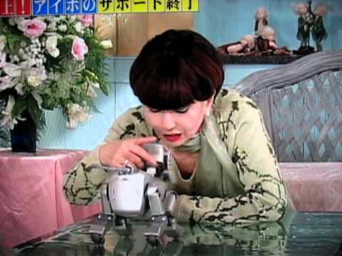 伝説　徹子さんの犬ロボット - YouTube