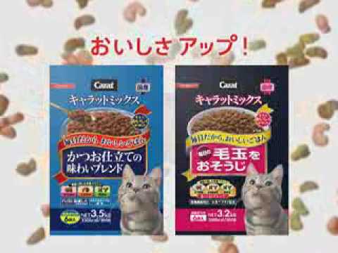 日清ペットフードのCM　「キャラットミックス」. - YouTube