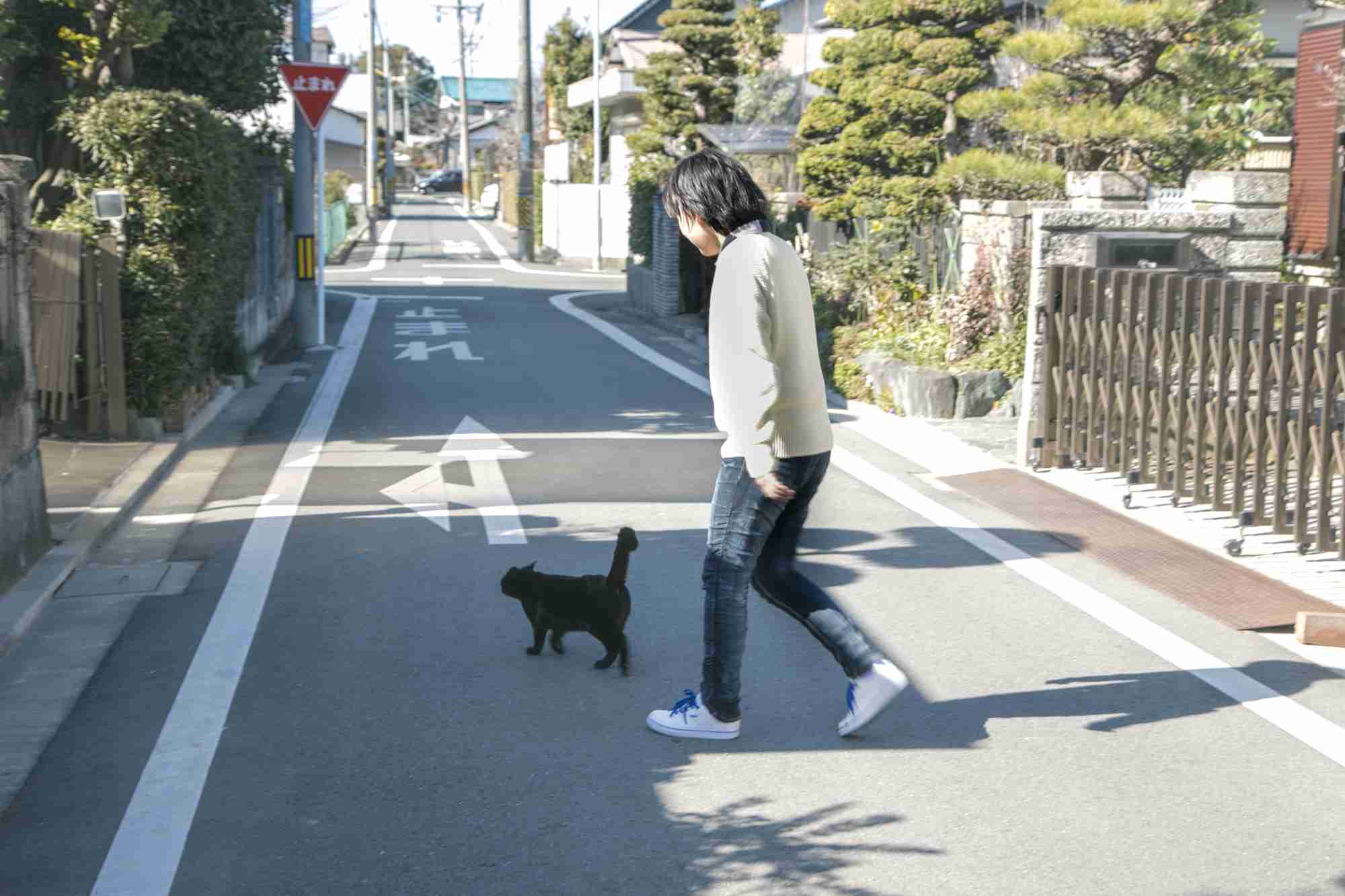 ＜命の価値がたった78円、胸がはりさけそう＞猫の殺処分に関する少女の作文に反響