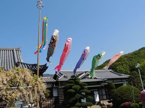 和の画像が集まるトピ