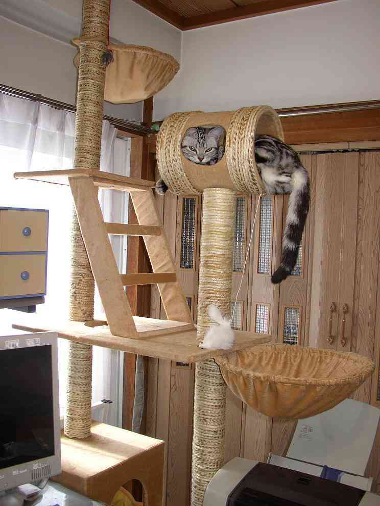 キャットタワーについて