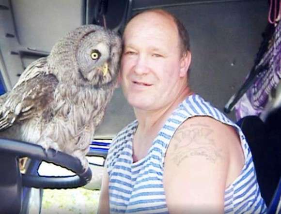 フクロウを助けたらすっかり懐いてしまい、預けた動物園から「手に負えぬ、引き取ってくれ。」 と言われたトラック運転手（ロシア） : カラパイア
