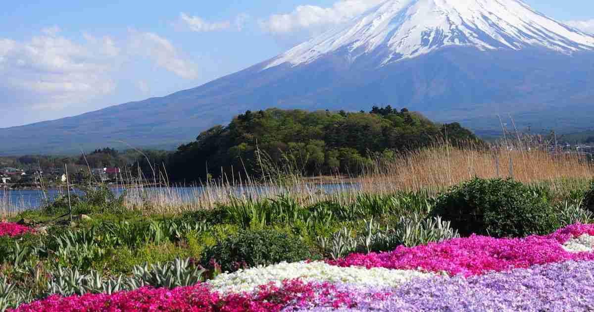世界遺産も温泉も欲張りに楽しめちゃう山梨旅♪アノ「観光地図」で調べてみたよ - Find Travel