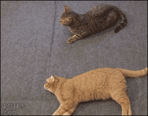 ガルちゃん娯楽室