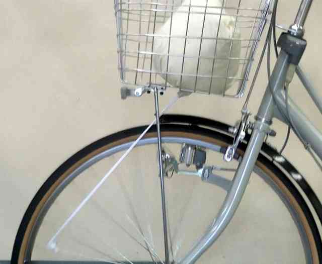 雨具着て自転車、事故に注意　車輪に巻き込み・視界遮断