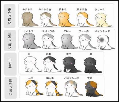 猫の好きな柄