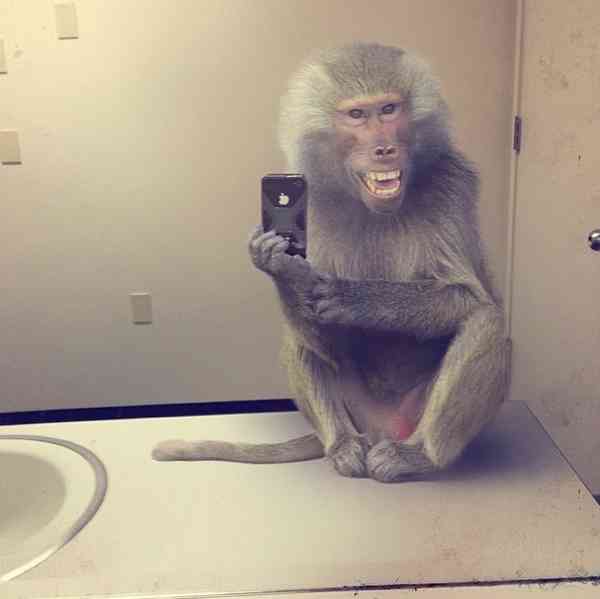 【画像】人間臭い動物鑑賞会