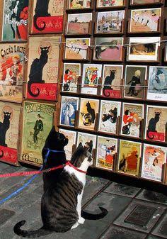 【画像】人間臭い動物鑑賞会