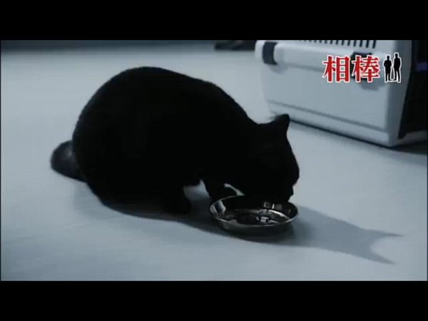 【カオス】ドラマ『相棒』次回の内容が「時間ループ」「平行世界」「タイムリープ」でネットがざわつく