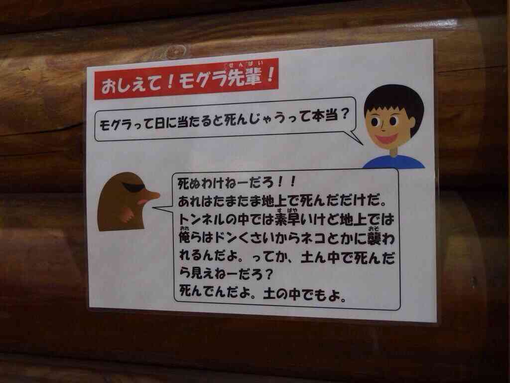 書かれたコメントに誰かが反論するトピ