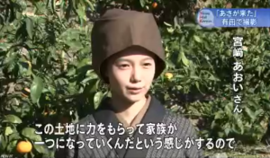 今週の「あさが来た」【みかんの季節】
