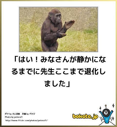 お気に入りのボケてをください