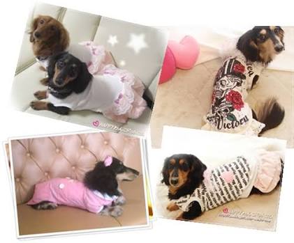 犬・猫に洋服、どう思いますか？
