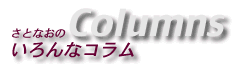 地震が起こったら、まずこれをしろ！
