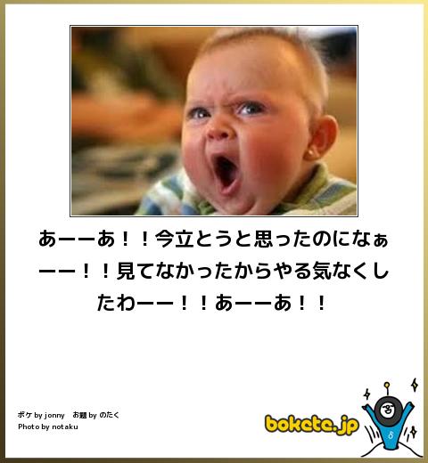 お気に入りのボケてをください