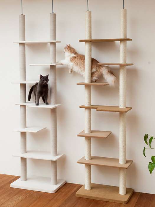 キャットタワーについて