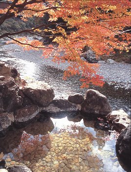 ガルちゃん温泉旅行