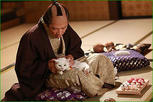 『猫侍』 好きな人