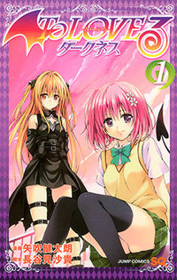 大人買いした漫画やDVD